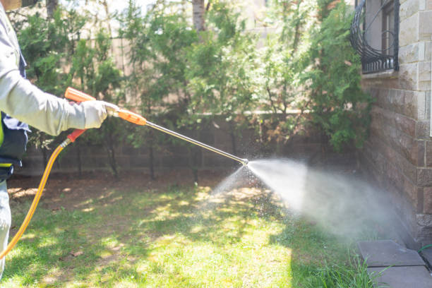 Best Insect Control  in Lynnwood Pricedale, PA