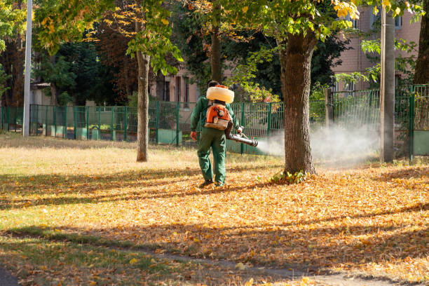 Best Exterminator Services  in Lynnwood Pricedale, PA