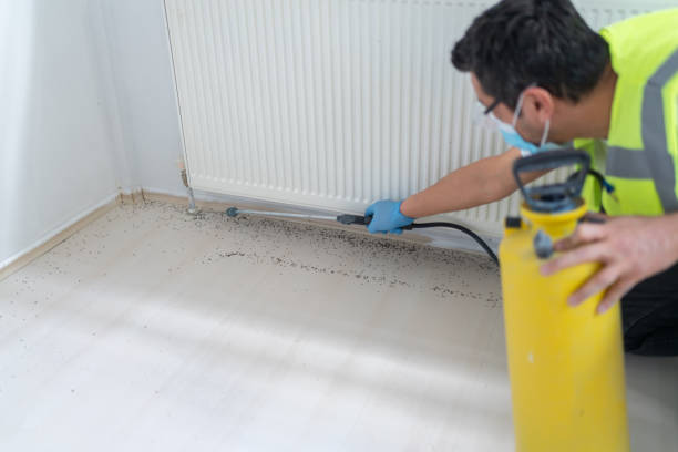 Best Mosquito Control Services  in Lynnwood Pricedale, PA
