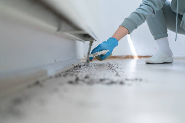 Pest Control Cost in Lynnwood Pricedale, PA